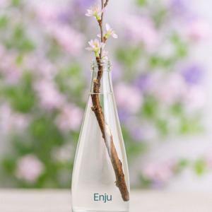 Enju -TSUTSUJI- 詳細画像