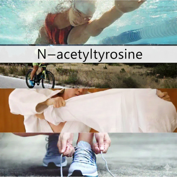 スペシャリストビネガー　アスリートナイト 詳細画像 - 4